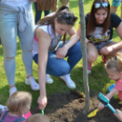 Mosonmagyaróvári Kézilabda SE faültetés (Fotó: Bánhegyi István)