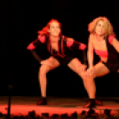 Ünnepi gálaműsor a tánc világnapja tiszteletére - Szigeti Gábor táncpedagógus emlékére