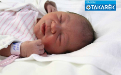 Erdős Zsófia, Máriakálnok