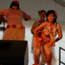 Első Engler Családi Nap (Fotó: Horváth Attila)