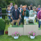 CAC kutyakiállítás (Fotó: Nagy Mária)