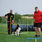 Agility - Hobby Kutyások részére (Fotó: Nagy Mária)