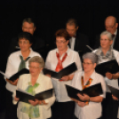 Jótékonysági műsor a Családok Átmeneti Otthona javára (Fotó: Nagy Mária)