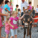 KULT - UTCA Hobbi nap (Fotó: Nagy Mária)