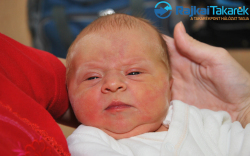 Horváth Katalin, 3590 gr. Mosonmagyaróvár