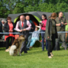 CAC kutyakiállítás (Fotó: Nagy Mária)