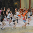 Nyárcsalogató (Fotó: Nagy Mária)