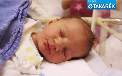 Varga Nimród, Mosonmagyaróvár