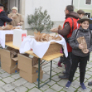 Szent Erzsébet napi kenyér osztás