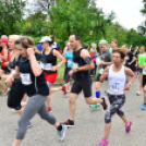 XII. Greiner Szigetköz Minimaraton (Fotó: Horváth Attila)