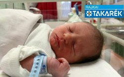 Veres Bálint Koppány, Jánossomorja