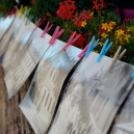 Kult-utca az Óvárosi kávéháznál (Fotó: Bánhegyi István)