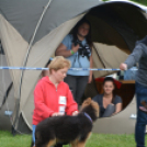 CAC kutyakiállítás (Fotó: Nagy Mária)