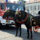 Szigetköz ízei, Vármegye borai Fesztivál 3 nap, 140 Éves Mosonmagyaróvár Város Tűzoltósága (Fotó: Bánhegyi István)