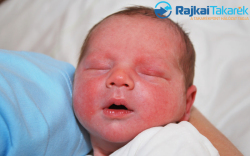 Herczeg András, 3640 gr. Mosonmagyaróvár