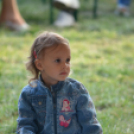 Szigetköz ízei, vármegye borai fesztivál - péntek (Fotó: Nagy Mária)