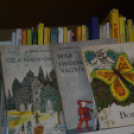 Kék cinke óvoda felújítás átadó (Fotó: Nagy Mária)