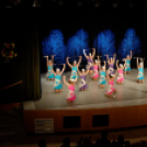 Jótékonysági műsor - Fehér és Máltai Szeretetszolgálat az Éltes iskola javára (Fotó: Horváth Attila)