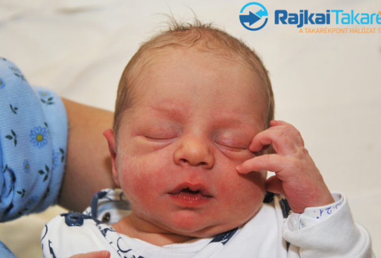 Pénzes Máté, 3320 gr. Kimle