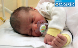 Kantó Dániel, Csorna