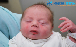 Schwendtner Zsombor, 3460 gr. Halászi