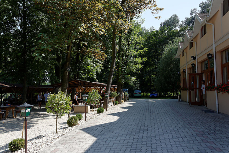 Sági Szilárd az Englerben (Fotó: Horváth Attila)