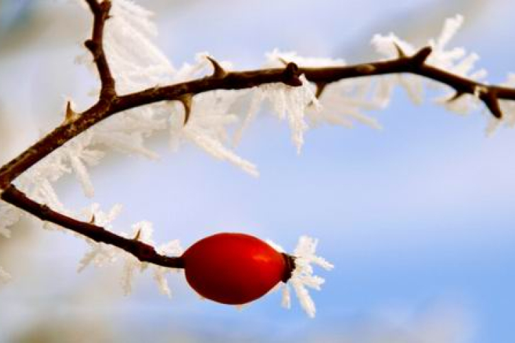 Február első napjaiban melegszik az idő