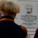 2015. MÁRCIUS 15. Mosonmagyaróvár (Fotó: Horváth Attila)