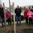 Kőrisfacsemetéket ültettek a diákok a Nolato Magyarország Kft telephelyén