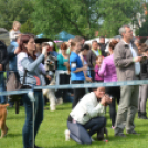 CAC kutyakiállítás (Fotó: Nagy Mária)