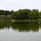 Jótékonysági horgászverseny daganatos betegek javára