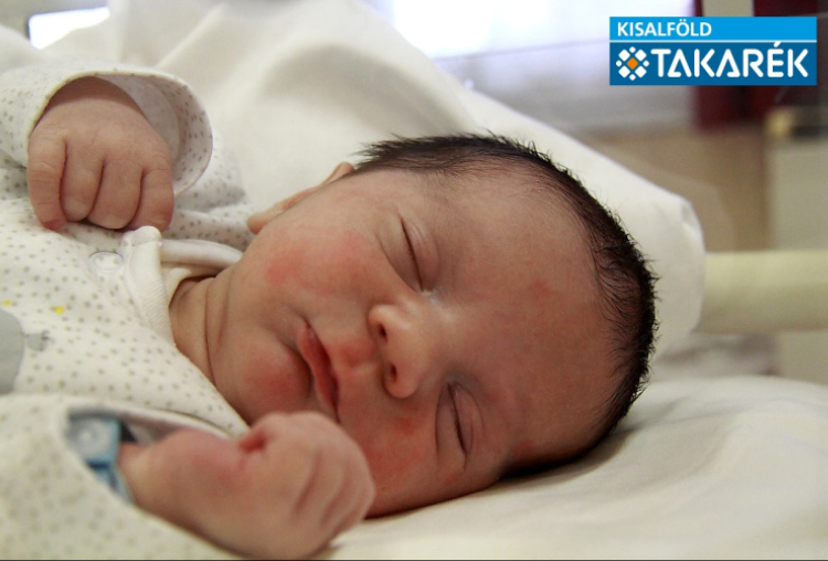 Moravek László Csaba, Kimle