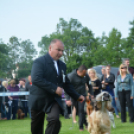 CAC kutyakiállítás (Fotó: Nagy Mária)