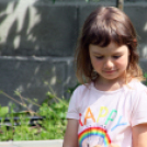 Az Ebuló Kutyaiskola interaktív kutyás bemutatója a Pillangó óvodában (Fotó: Stipkovits Veronika)