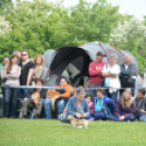 CAC kutyakiállítás (Fotó: Nagy Mária)