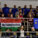 MKC SE - FTC-Rail Cargo Hungaria (18-34) (NBI Alapszakasz) (Fotó: Horváth Attila)