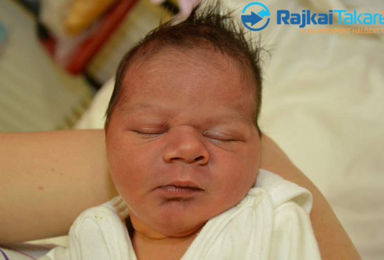 Zámbó Alex Attila, 3170 gr. Móvár