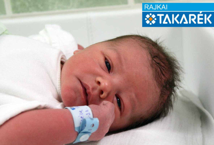 Cséve Marcell, Mosonmagyaróvár