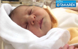 Budai Olívia, Darnózseli