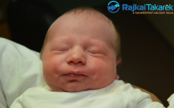 Katona Dominik, 3600 gr. Mosonmagyaróvár