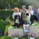 CAC kutyakiállítás (Fotó: Nagy Mária)