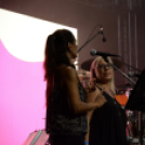 NYÁRI FESZTIVÁL – SZENT ISTVÁN NAPOK 2019, Első nap