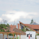 Csengő-Bongo Levenduladélután