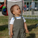 VOLUTA 2015 - Péntek (Fotó: Horváth Attila)