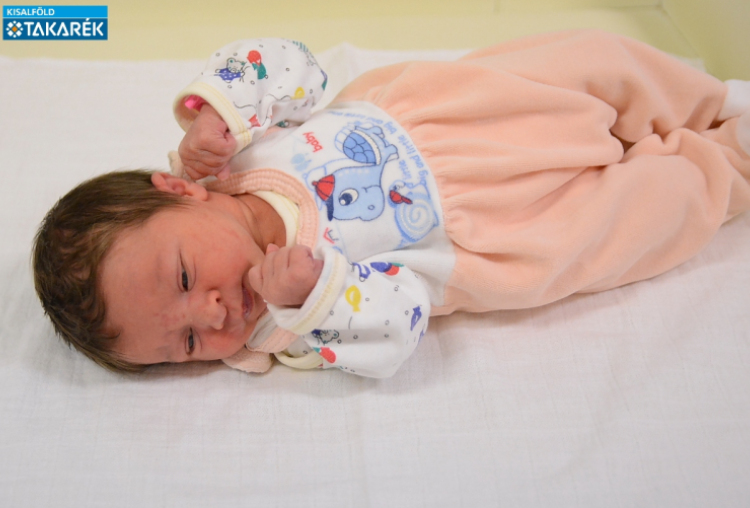 Varju Mia, Várbalog