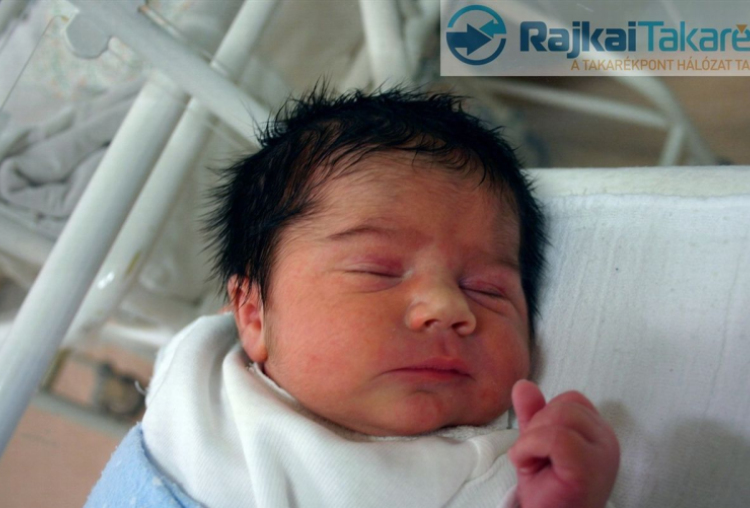 Goda István Márk, Mosonmagyaróvár