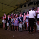 Szigetköz ízei, vármegye borai fesztivál / VÁRMEGYE SZÉPE - VÁRMEGYE HANGJA (Fotó: Horváth Attila)