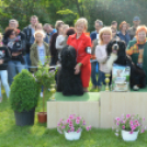 CAC kutyakiállítás (Fotó: Nagy Mária)