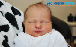 Jenei Mirabella, 3240 gr. Levél