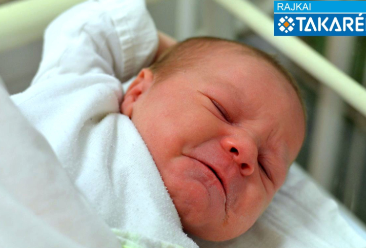 Zámbó Mercédesz Zara, Mosonmagyaróvár